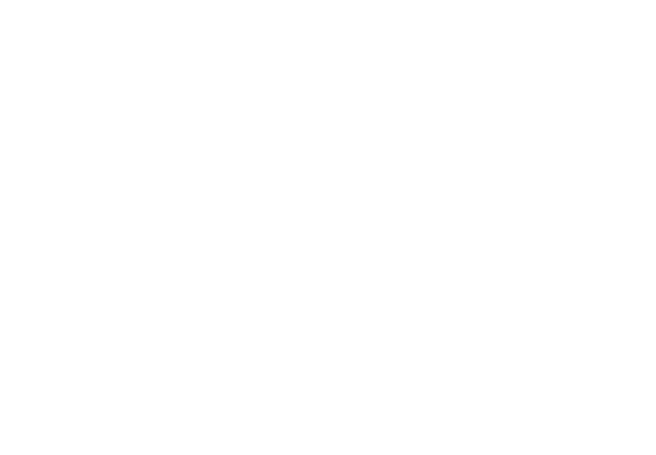 FC Wald